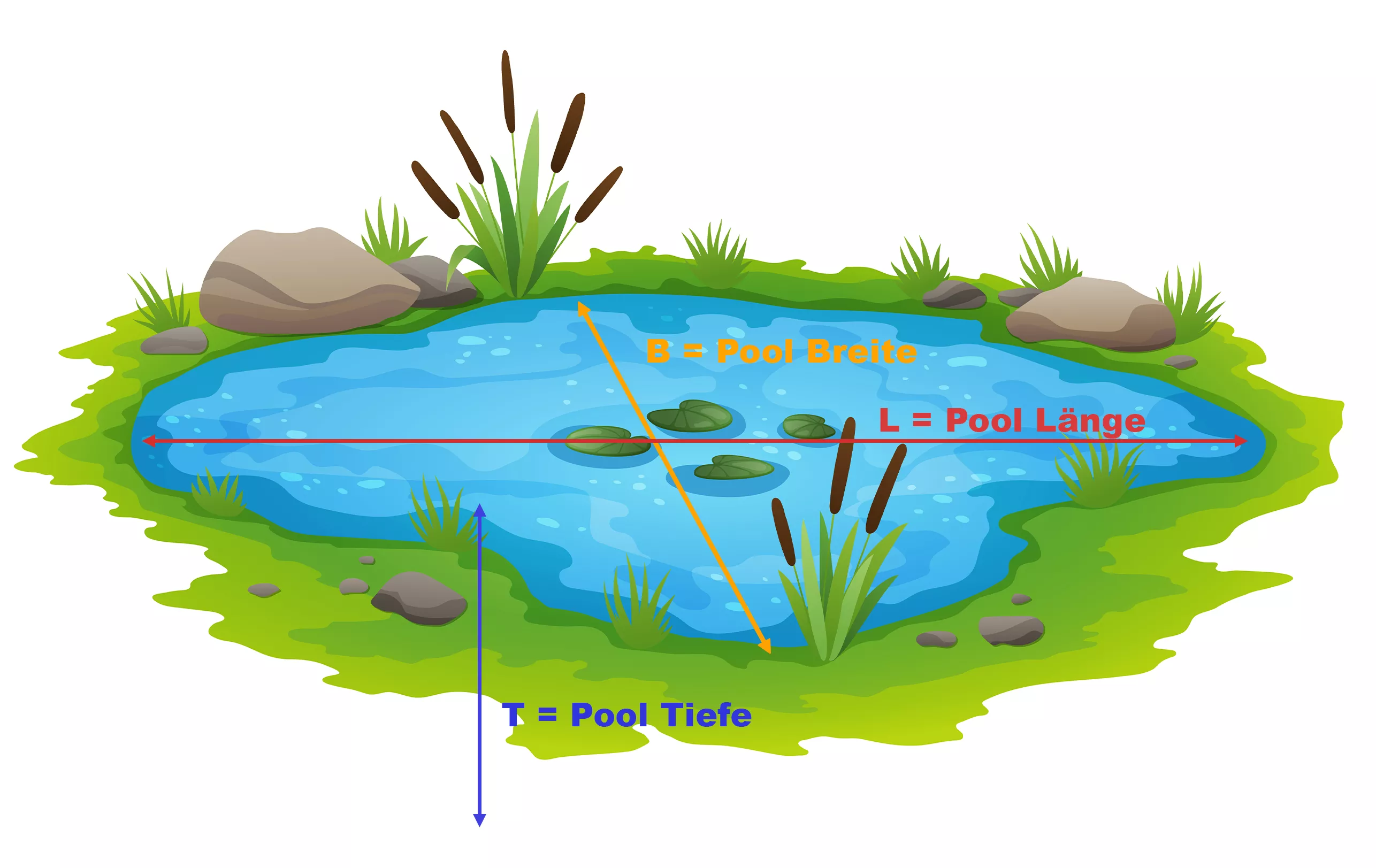 Berechnung Folie Naturpool Schwimmteich