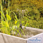 Preview: Filtral 1500 UVC Unterwasserfilter