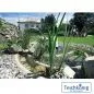 Preview: Teichschale Lake Constance basalt Preview: Teichschale Lake Constance basalt