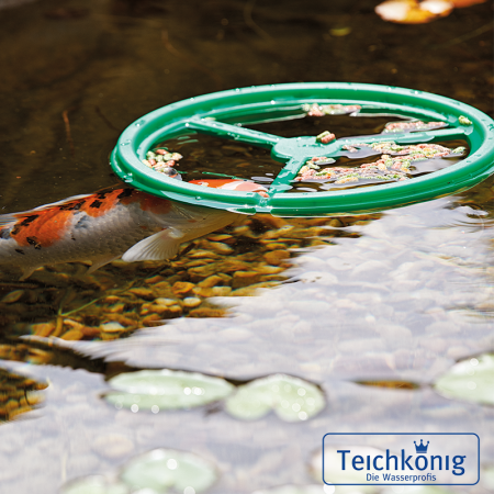 PondoFeed Ring Fischfutterring Teichkönig