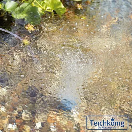AquaOxy 1000 Teichbelüfter