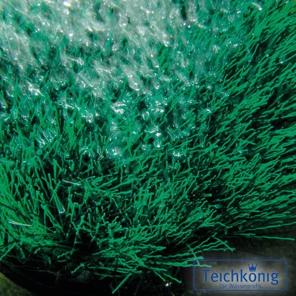 OxyTex 400 Teichbelüfter OxyTex 400 Teichbelüfter