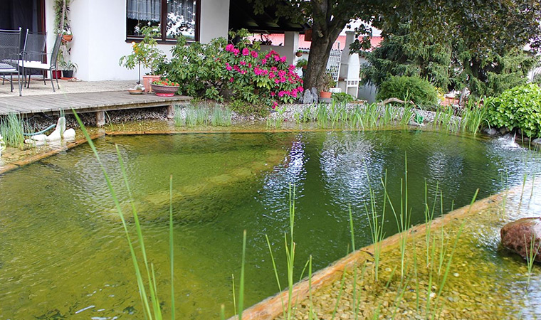 Teichkönig Teichbauanleitung Teich in Eigenkreation